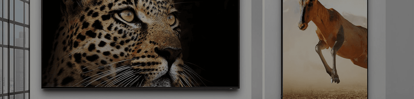Samsung Smart Signage display powered by NGX media player